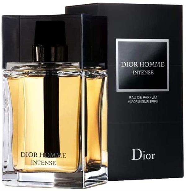 Christian Dior Homme Intense EdT 100 Ml