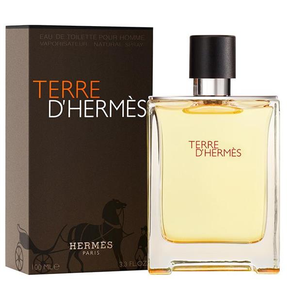 Hermes Terre D'Hermes Edt 100 Ml